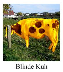 Blinde Kuh - JPG